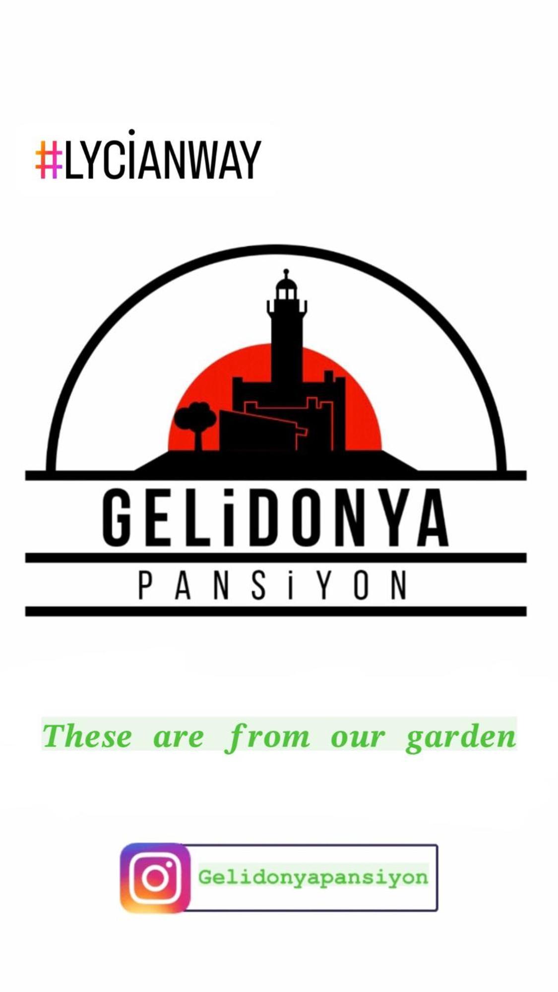 Gelidonya Pansiyon Kumluca Extérieur photo